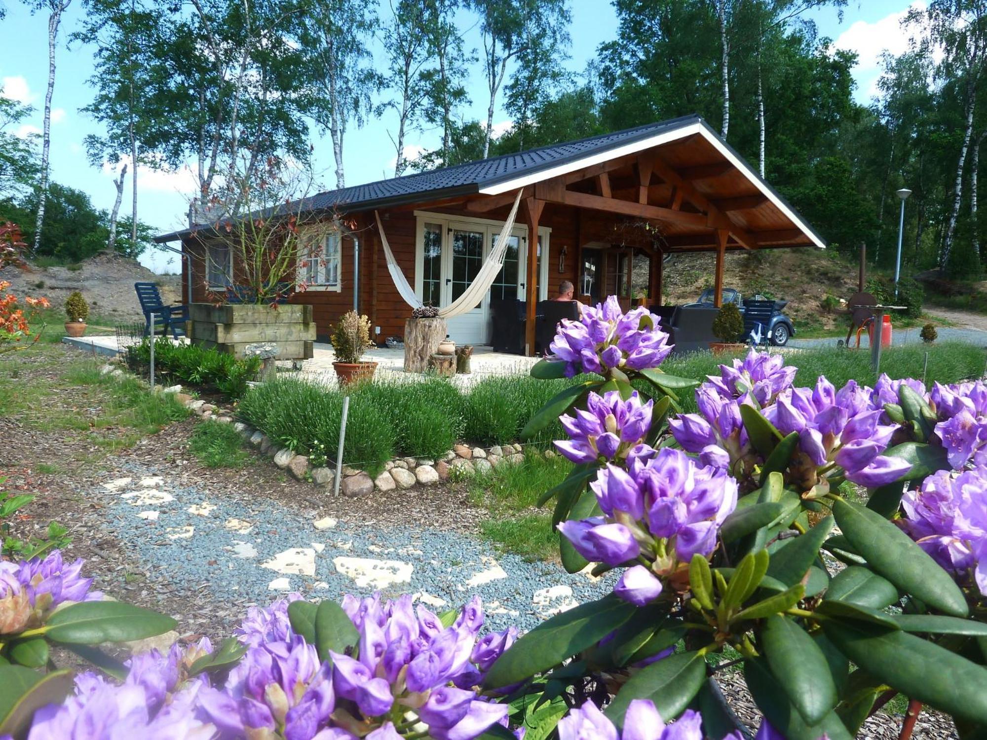 Resort Wilsumer Berge Habitación foto
